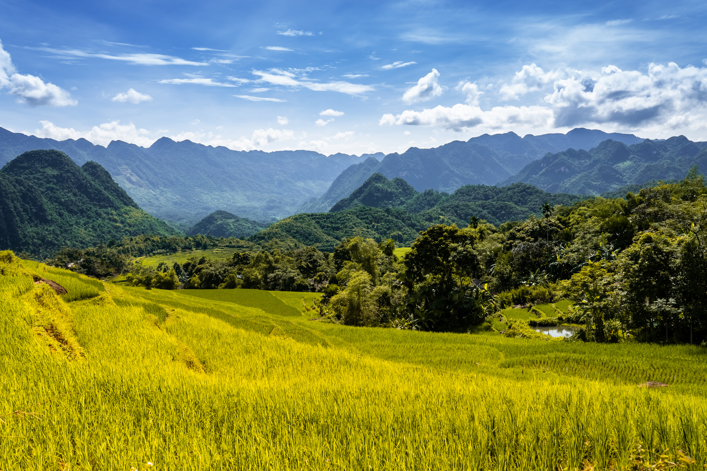 mai châu district (4).webp